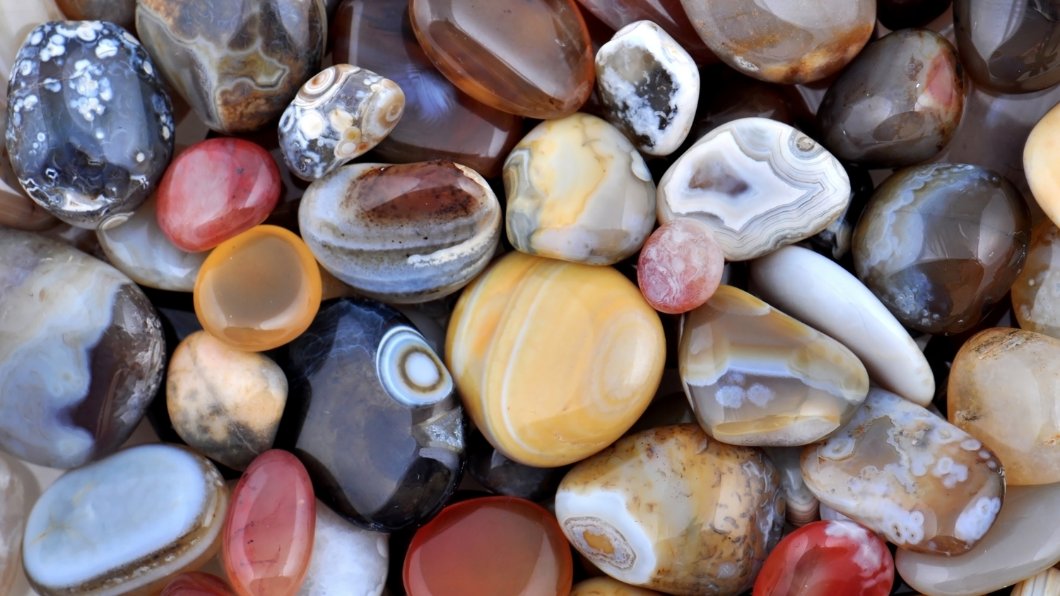 The World of Agates: A Collector's Guide – MavenRed Minerals and Crystals