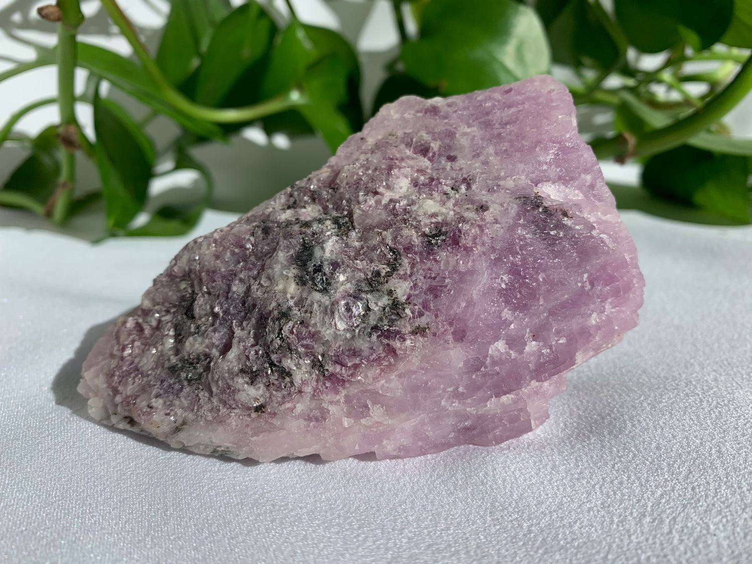 Lilac purple colored raw mineral specimen with small clusters of lepidolite mica.