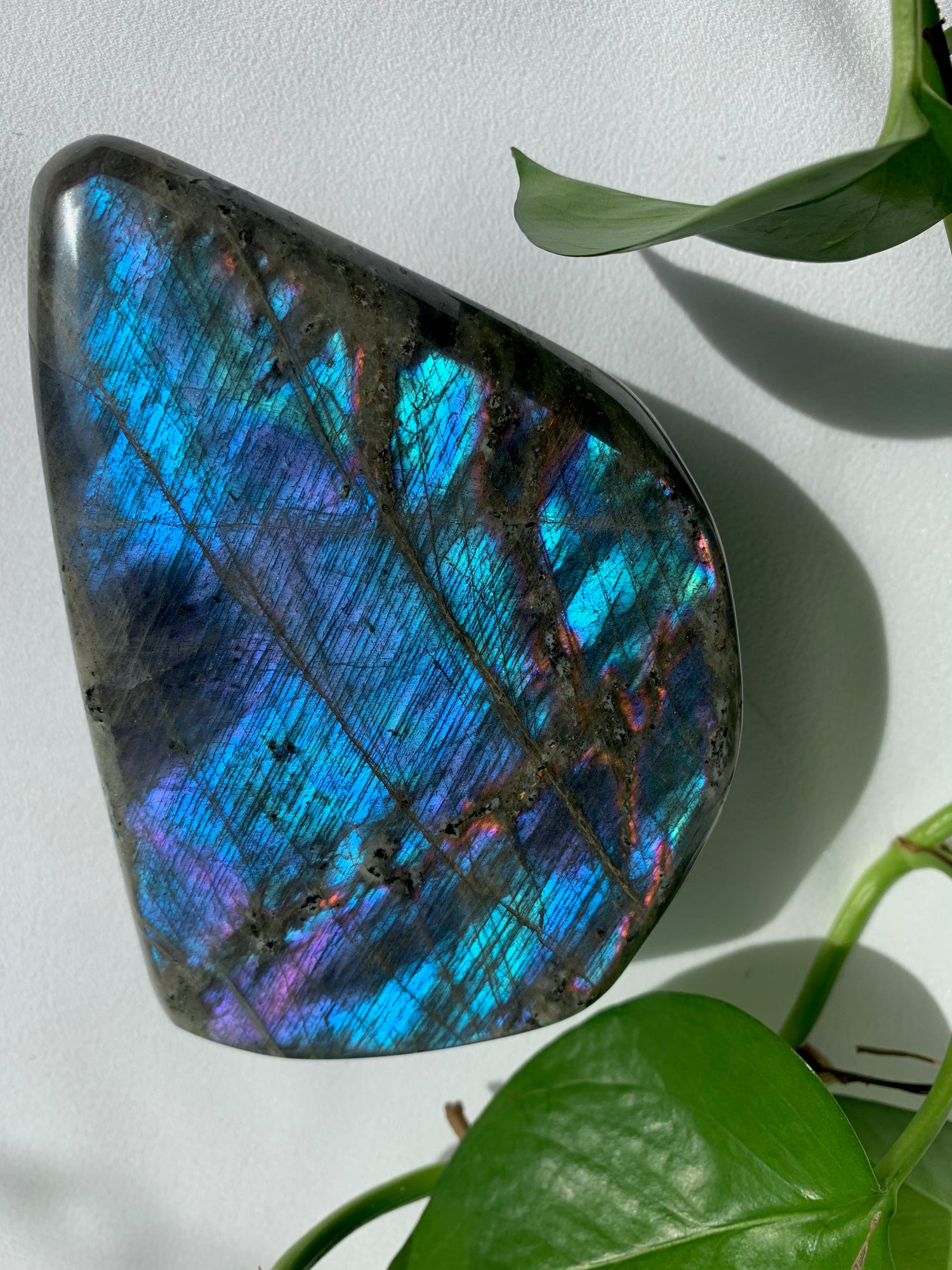 Labradorite polished freeform crystal. Brilliant electric blues and purples combine with touches of hot pink and shining orange.