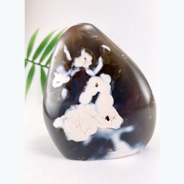 Orca Agate Crystal Freeform