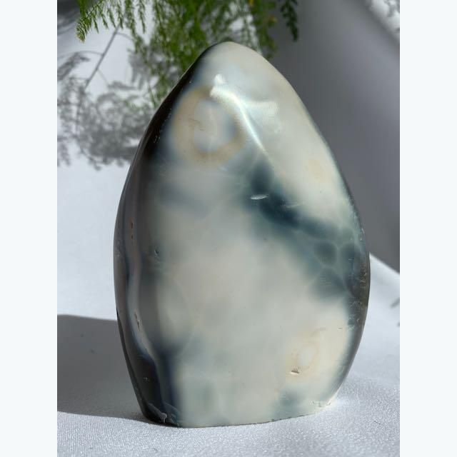 Orca Agate Crystal Freeform