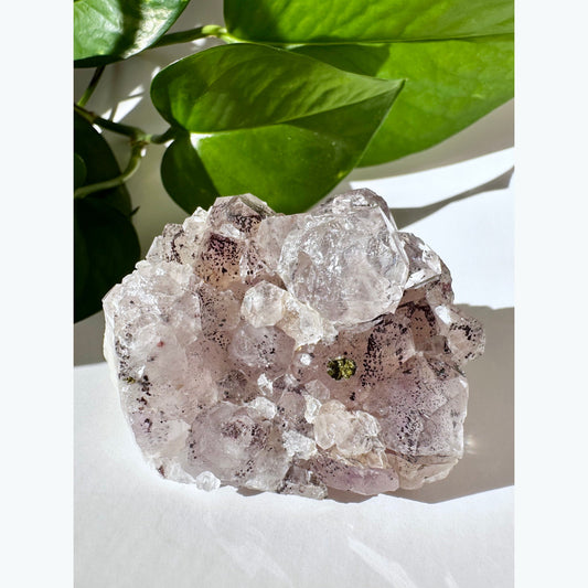 Garden Amethyst