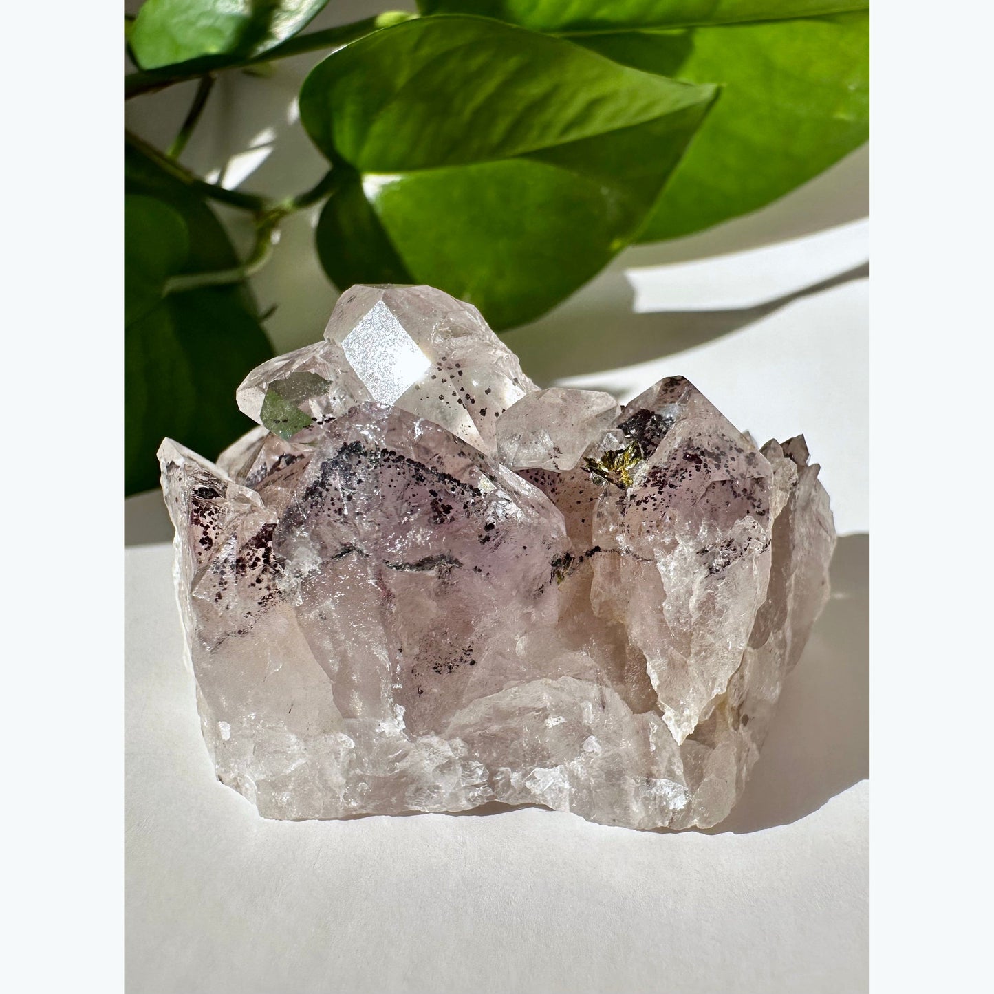 Garden Amethyst