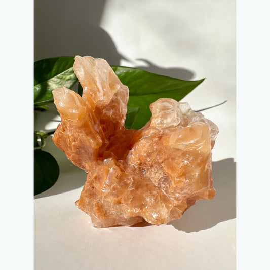 Cave Calcite Specimen