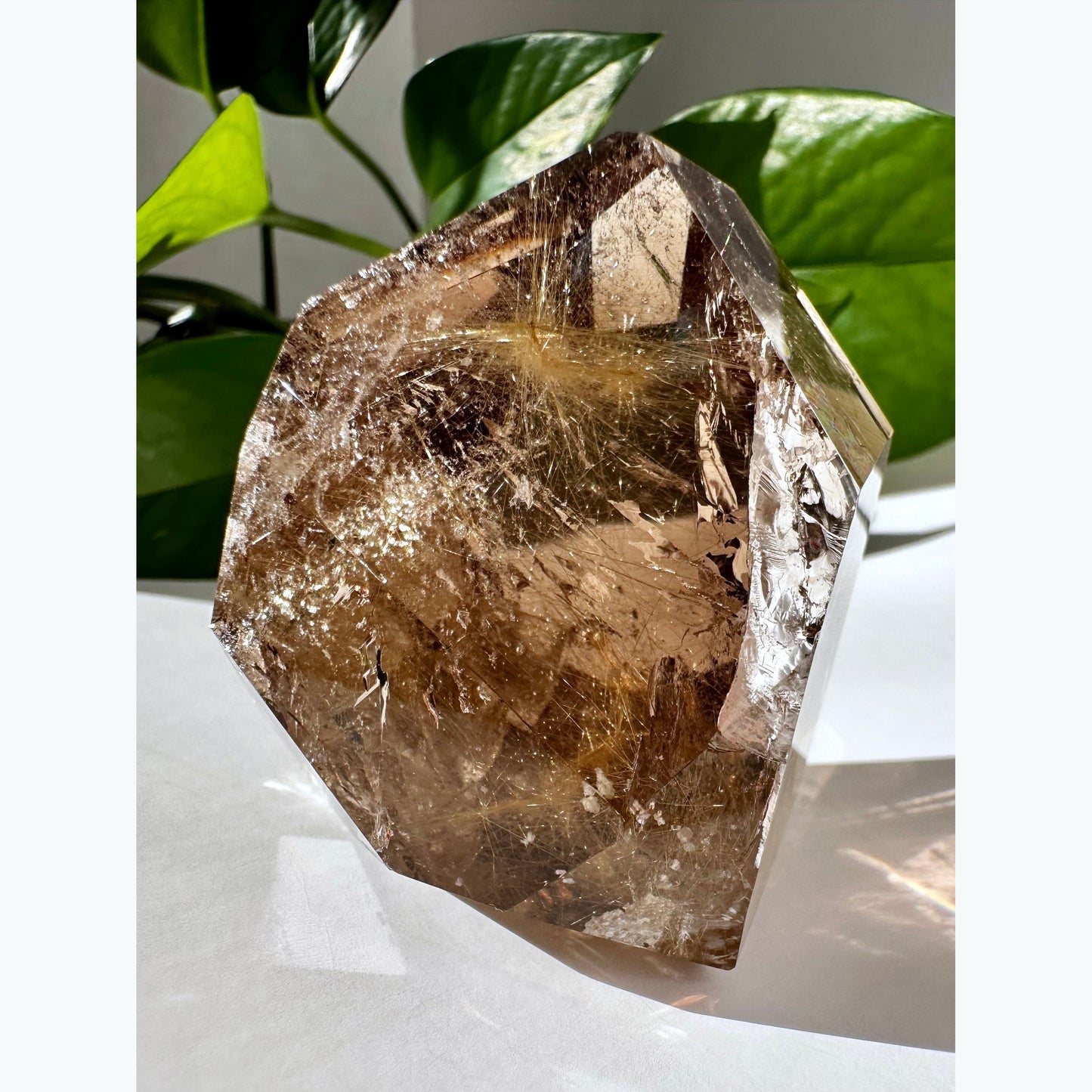 Smoky Citrine with Rutile