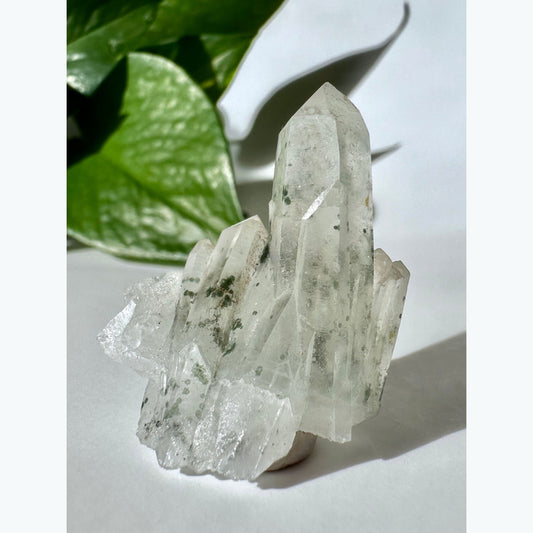 Quartz Crystals with Chlorite