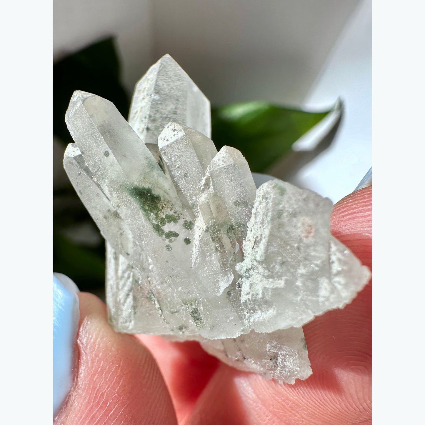 Quartz Crystals with Chlorite