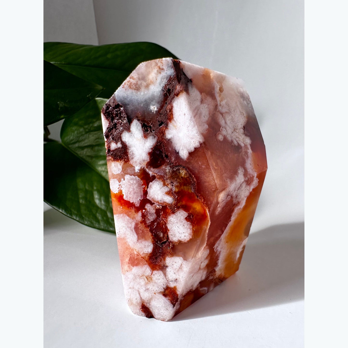 Carnelian Flower Agate Freeform