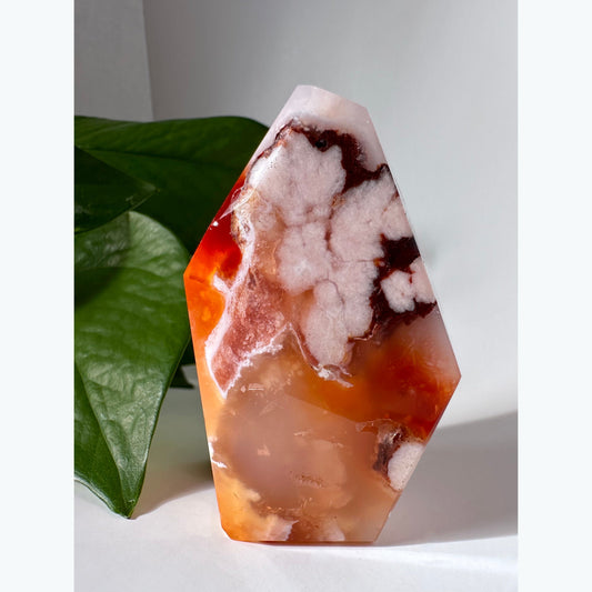 Carnelian Flower Agate Freeform