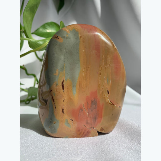 Polychrome Jasper Freeform