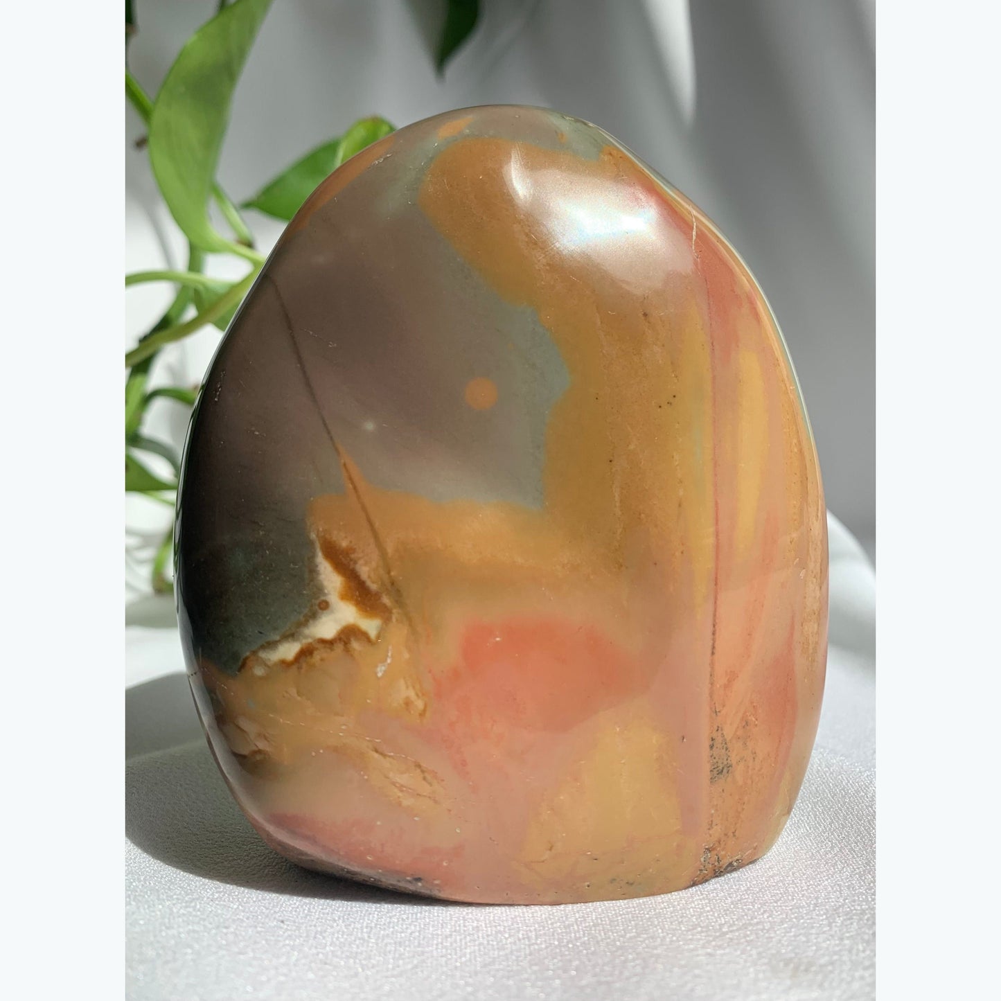 Polychrome Jasper Freeform