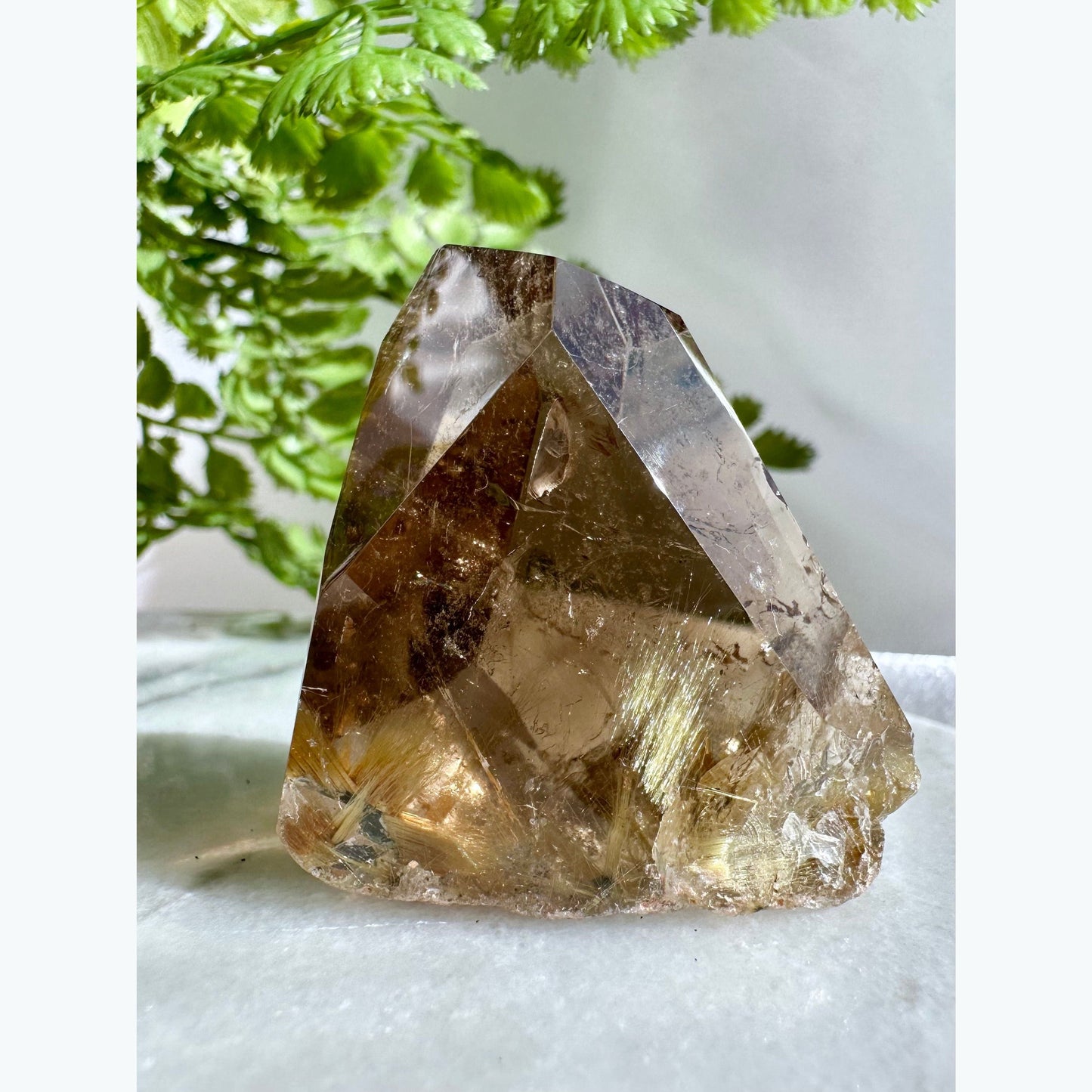 Smoky Quartz Crystal with Rutile Inclusions