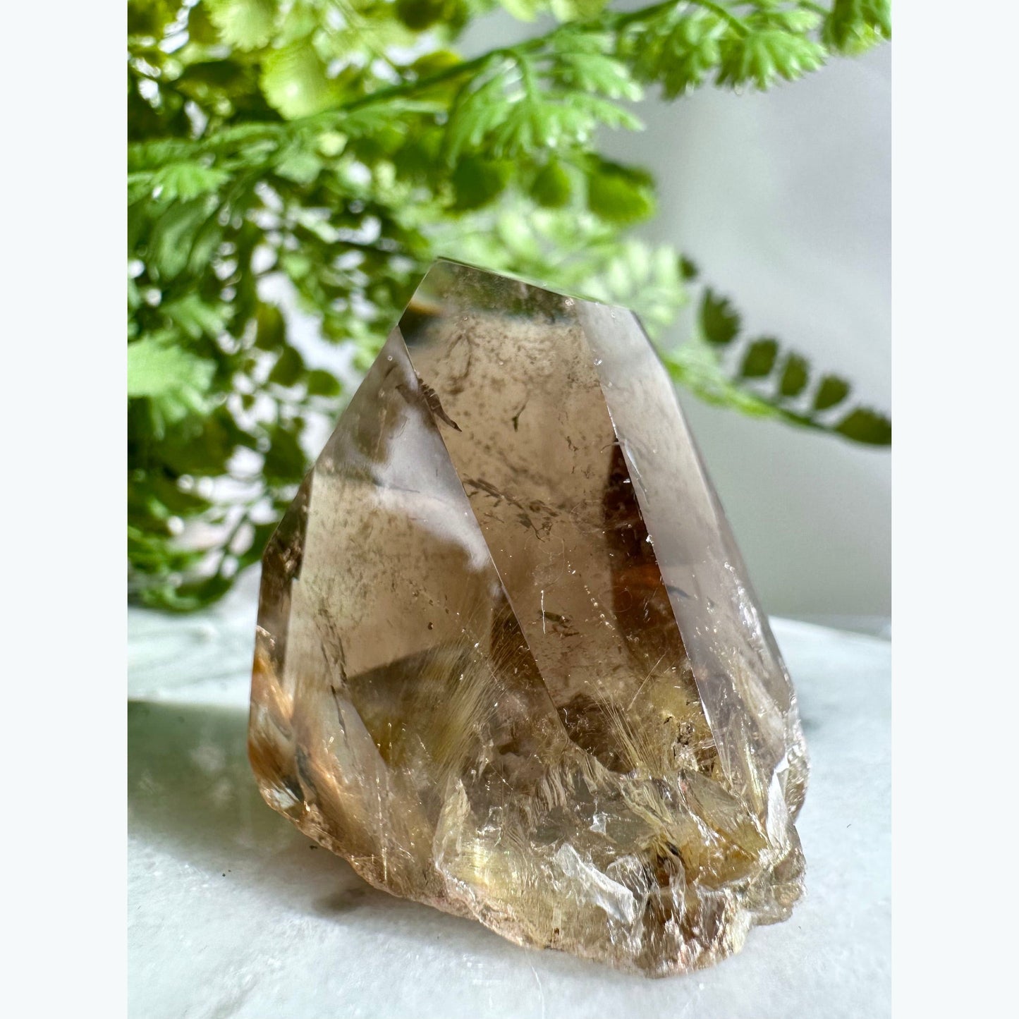 Smoky Quartz Crystal with Rutile Inclusions