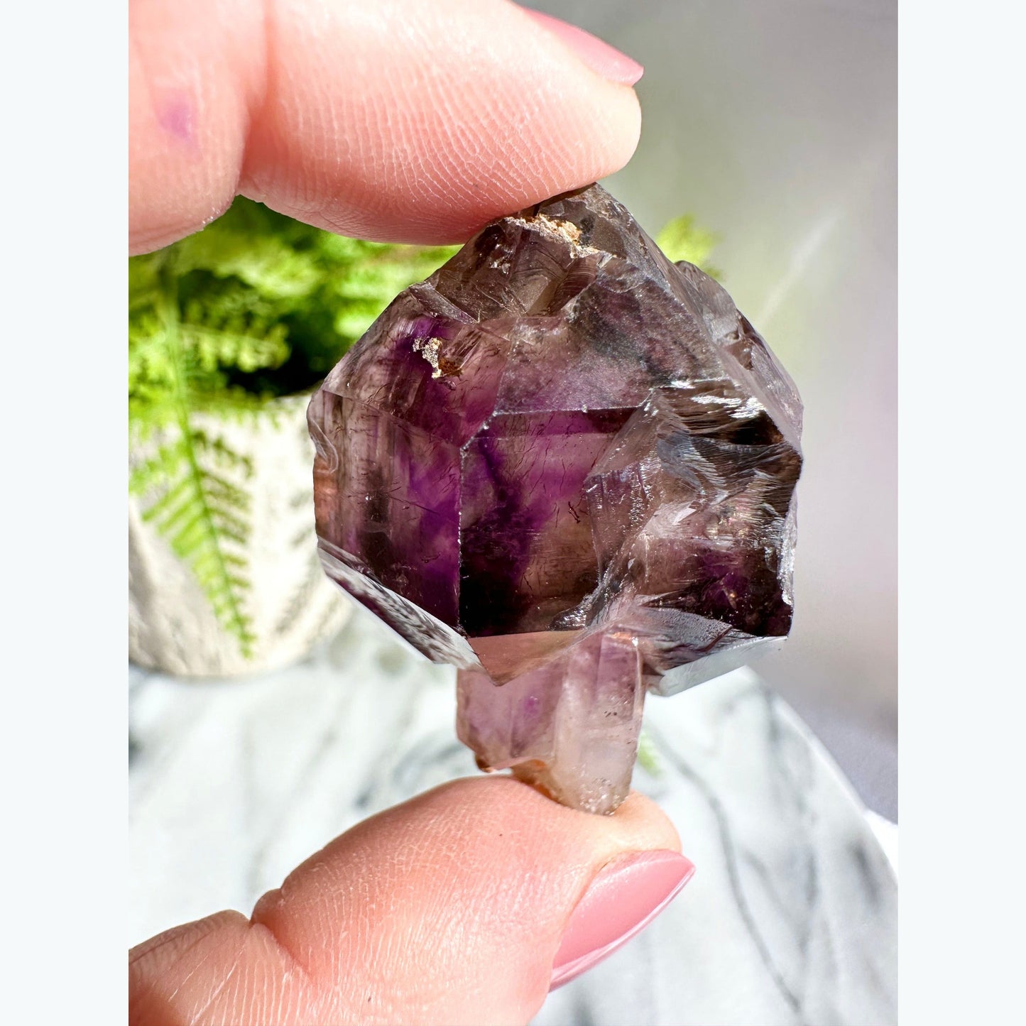 High Quality Chibuku Amethyst Scepter