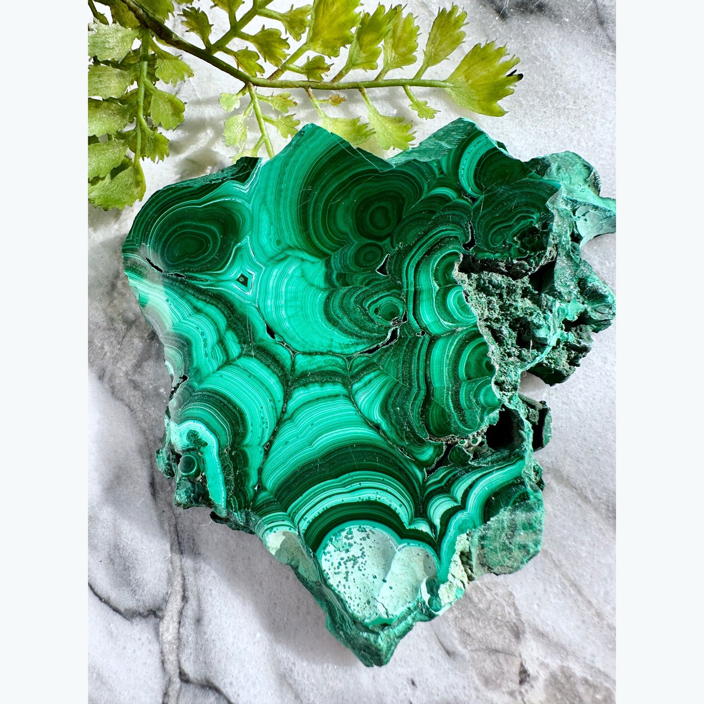 Raw Edged Malachite Slab