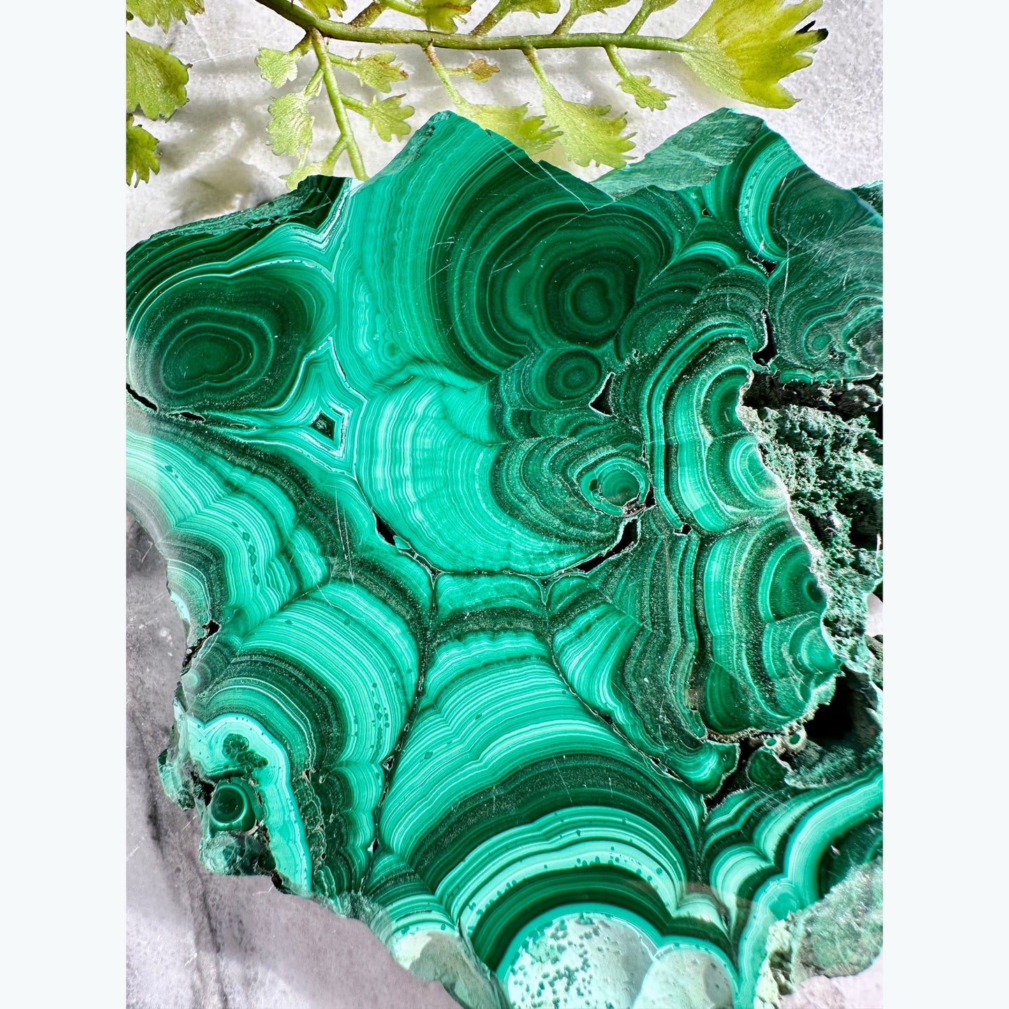 Raw Edged Malachite Slab