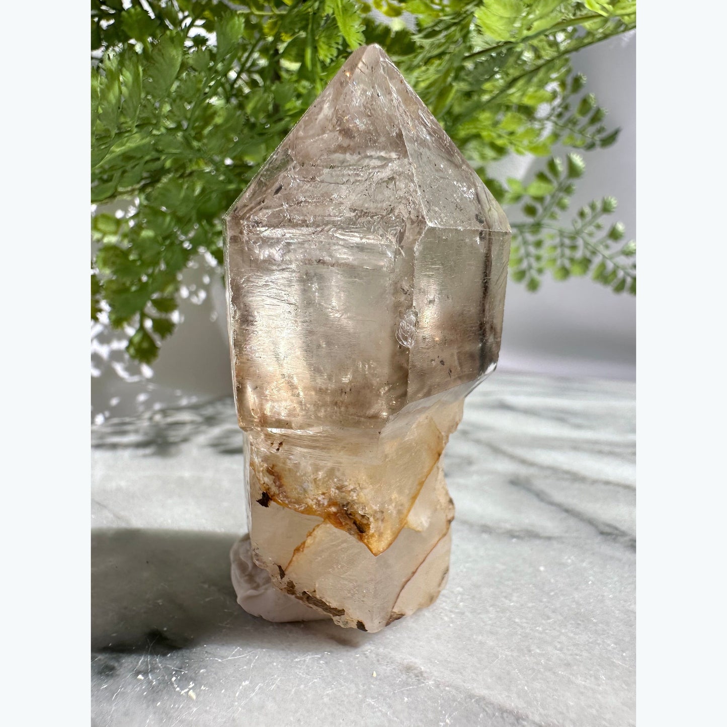 Large Enhydro Quartz Scepter