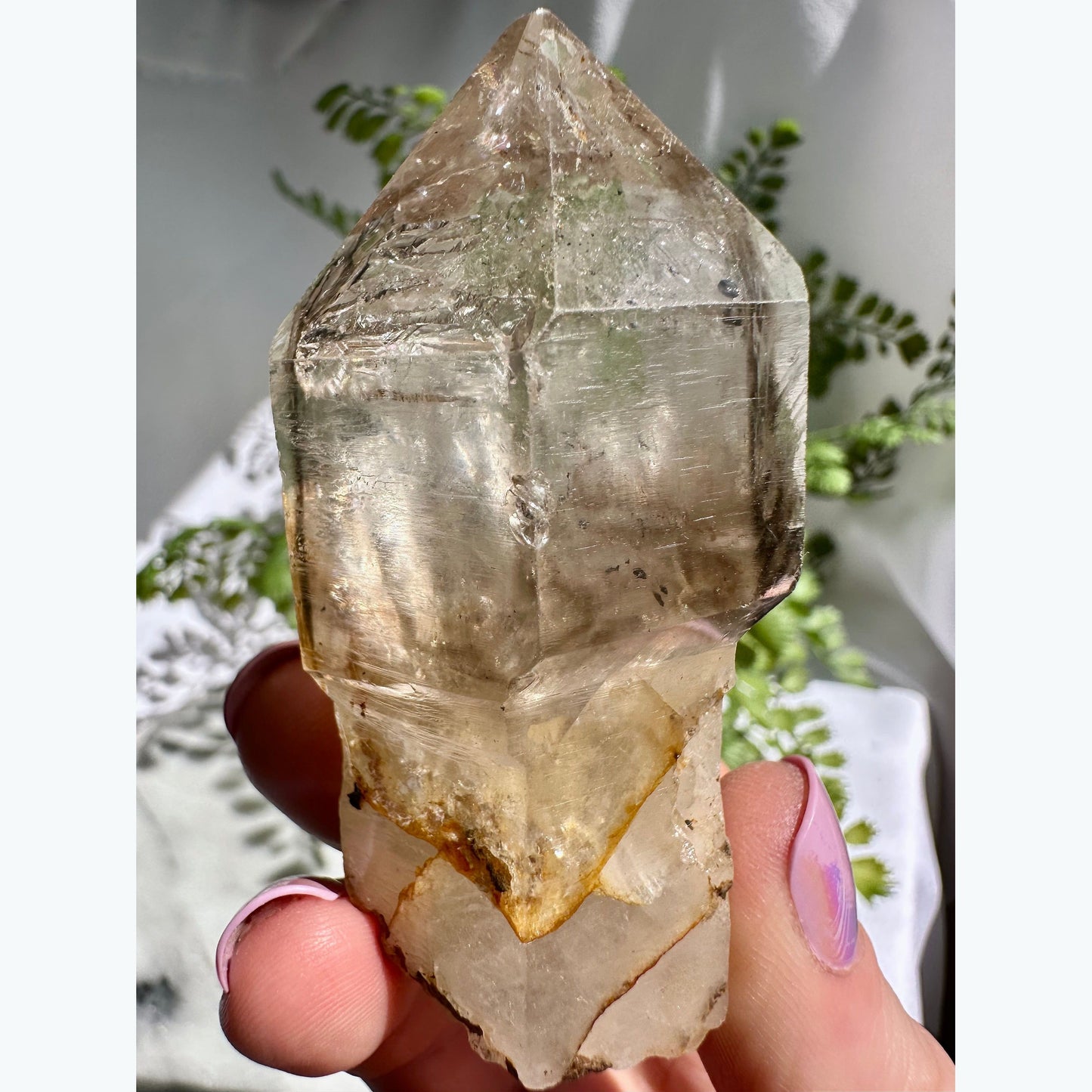 Large Enhydro Quartz Scepter