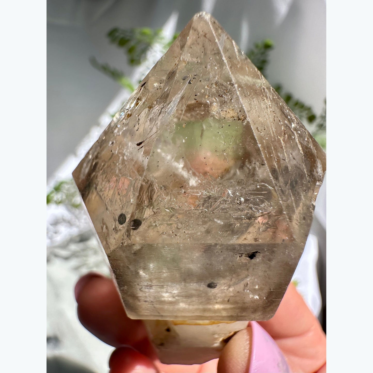 Large Enhydro Quartz Scepter