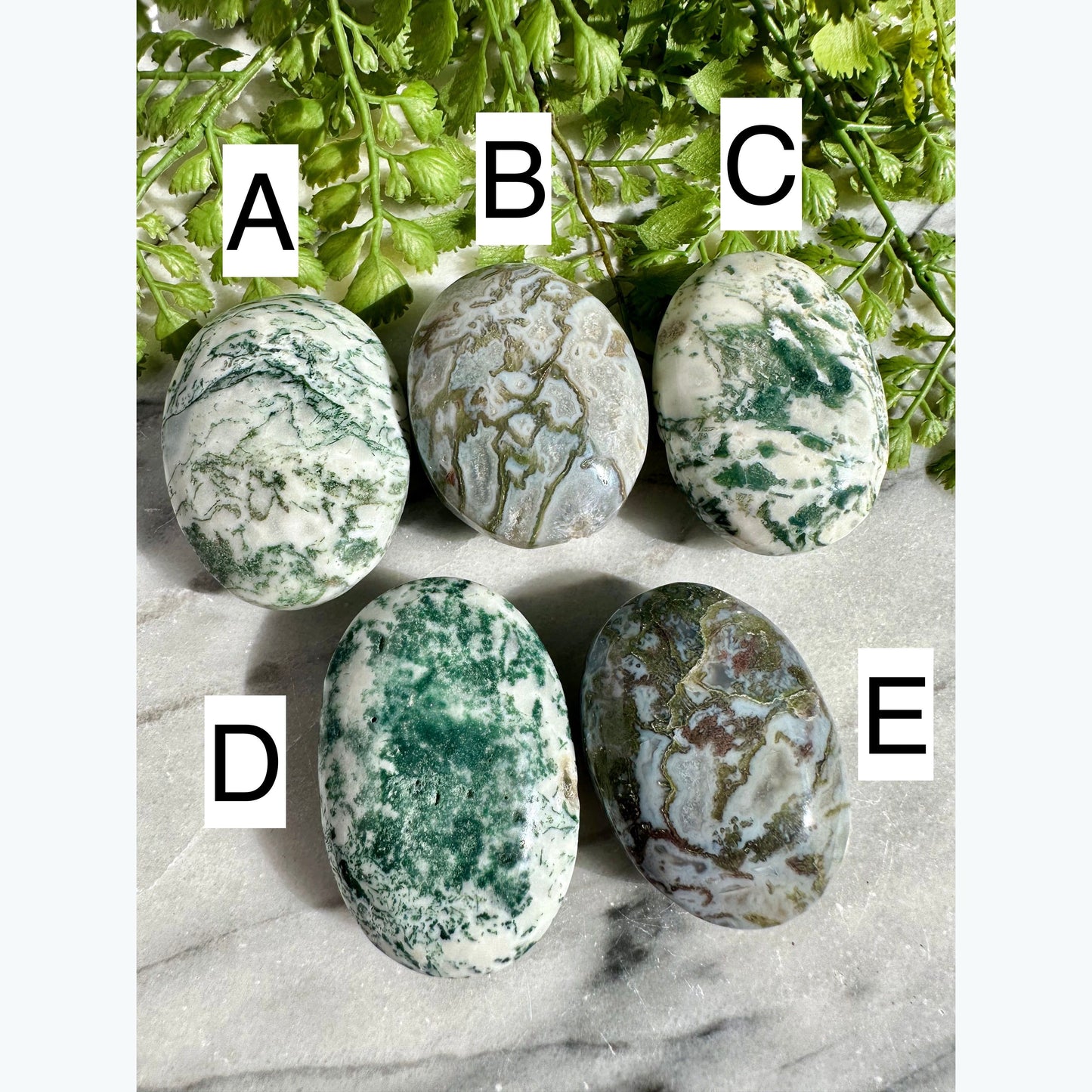 Moss Agate Palm Stones