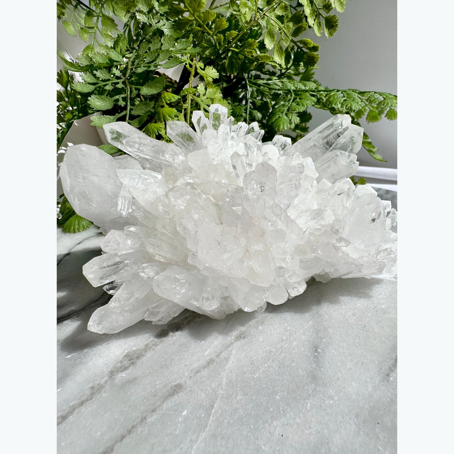 Chrysanthemum Quartz Cluster