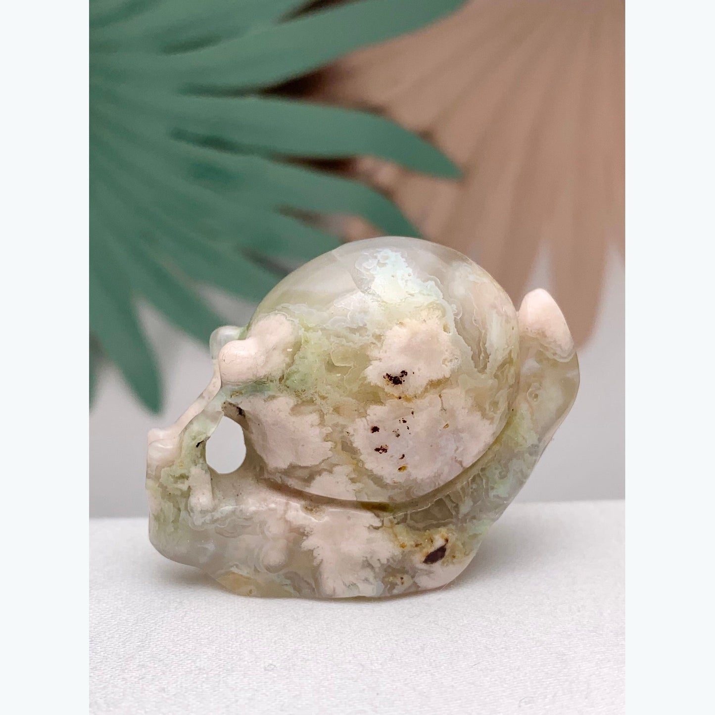 Flower Agate Snail