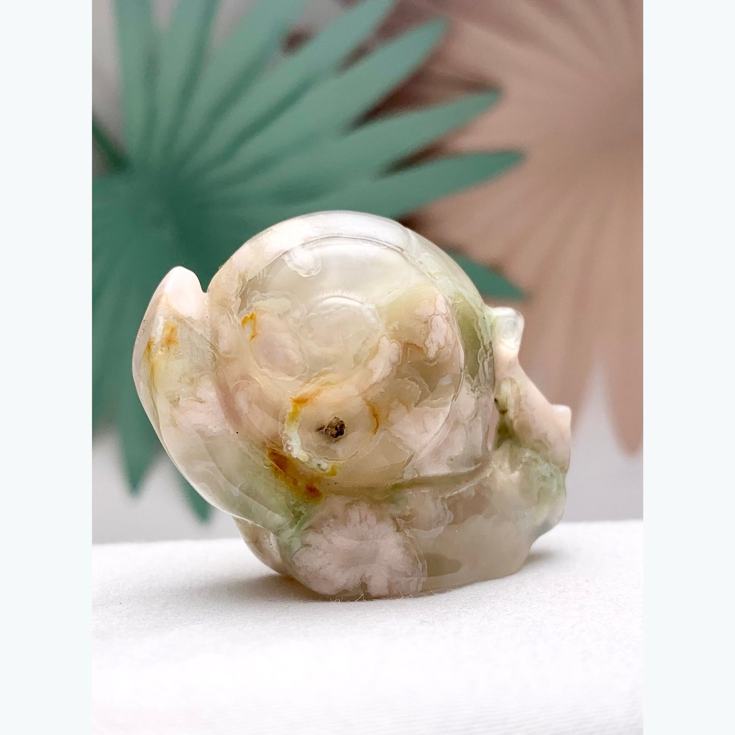 Flower Agate Snail