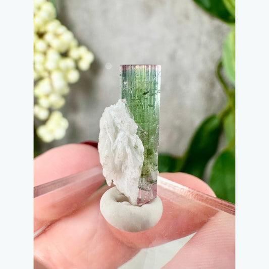 Aricanga Tourmaline with Albite