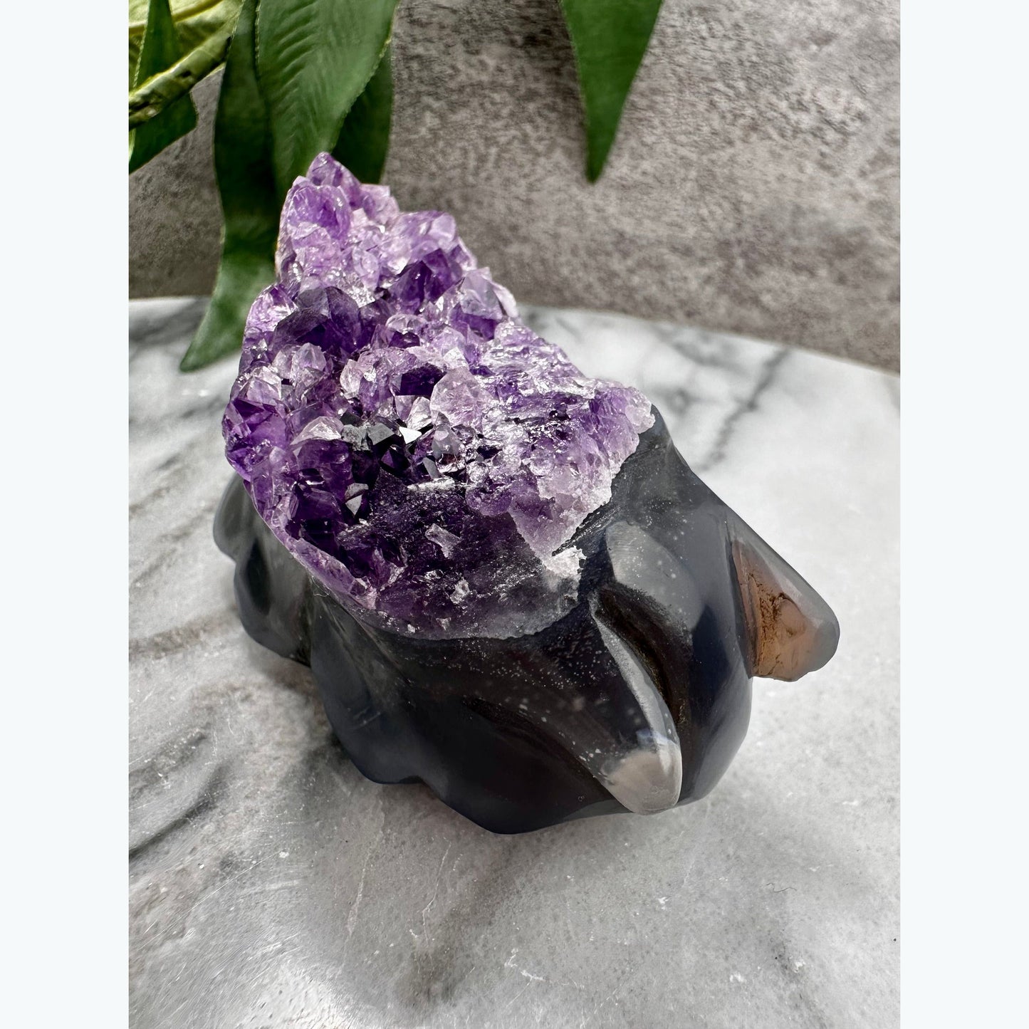 Amethyst Snail Carving